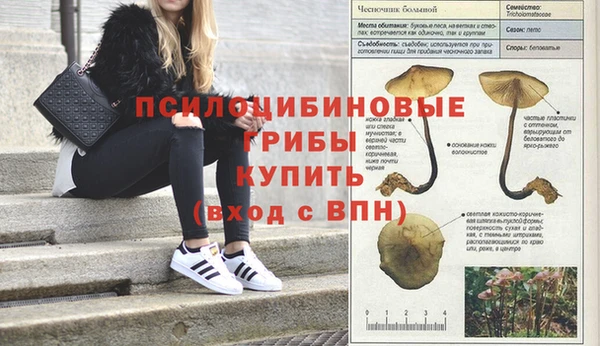 меф VHQ Медвежьегорск
