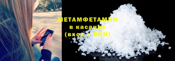 прущие грибы Медногорск