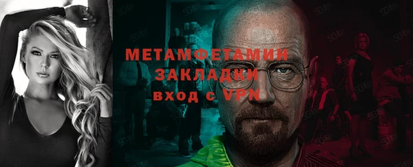 прущие грибы Медногорск