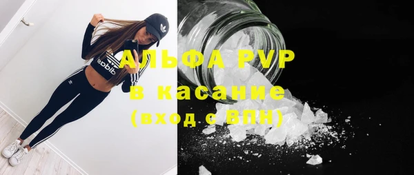 прущие грибы Медногорск