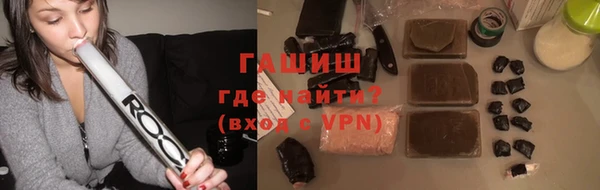 прущие грибы Медногорск