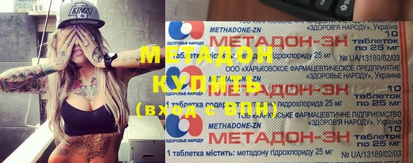 прущие грибы Медногорск