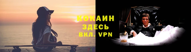 прущие грибы Медногорск