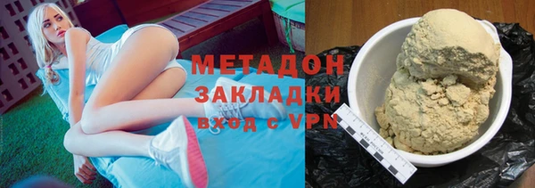 прущие грибы Медногорск